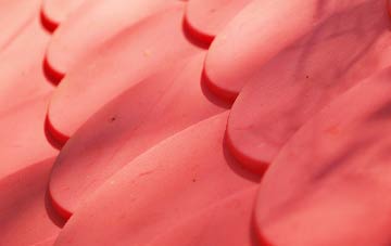 Nowton plastic roof costs