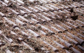 Nowton roof cleaning companies