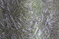 Nowton fibreglass roof work